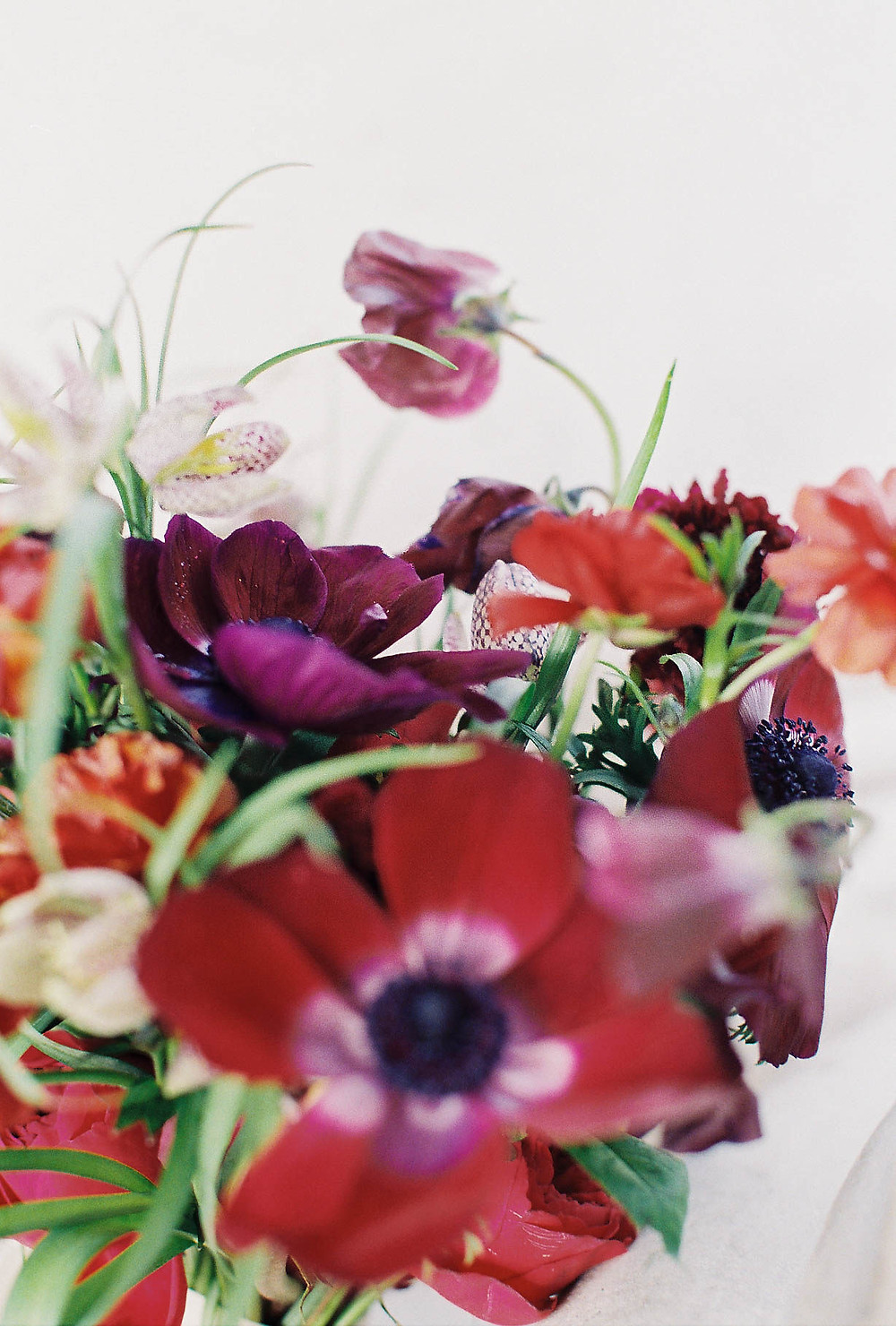 Berry- toned, red anemone bouquet with sweet-peas, fritillaria, ranunculus and scabiosa.
