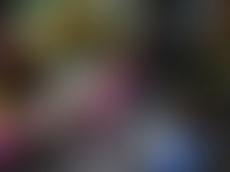 2024年2月10日(土)