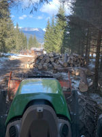 Holzarbeiten von Holz Streussnig