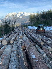 Holzstoß von Holz Streussnig