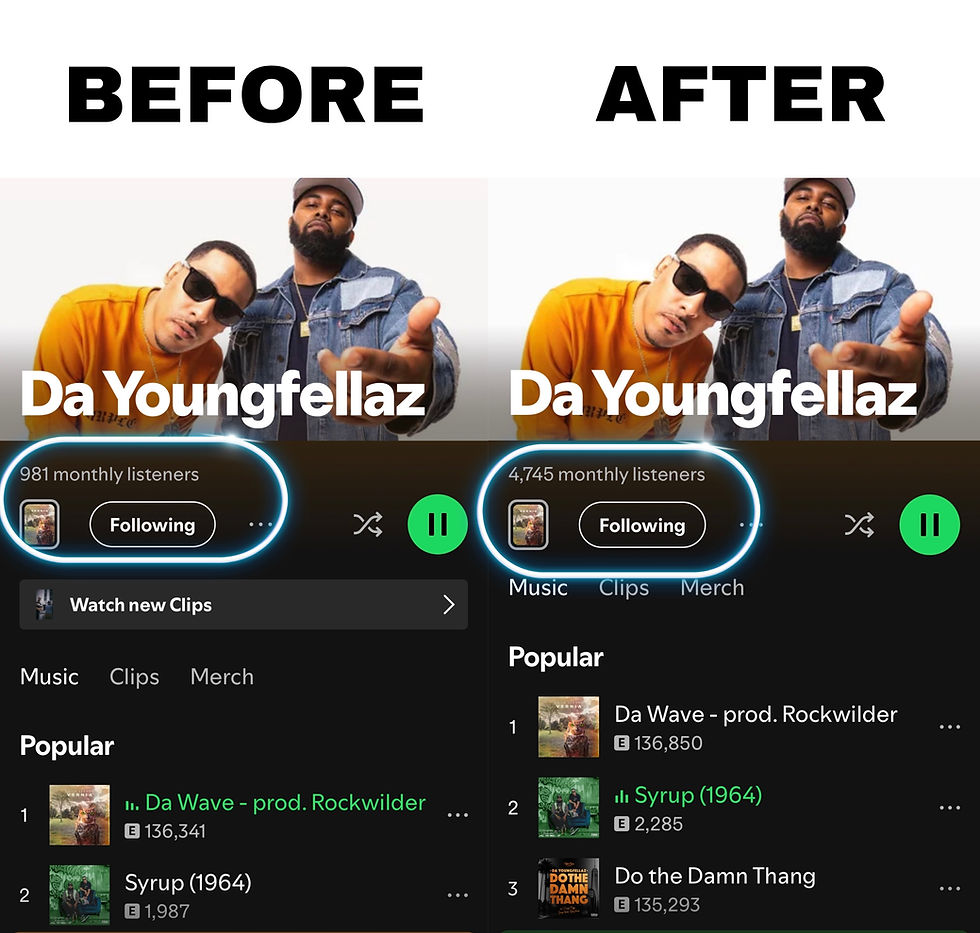 Thumbnail: Spotify Playlisting Reach Campaigns By CAL