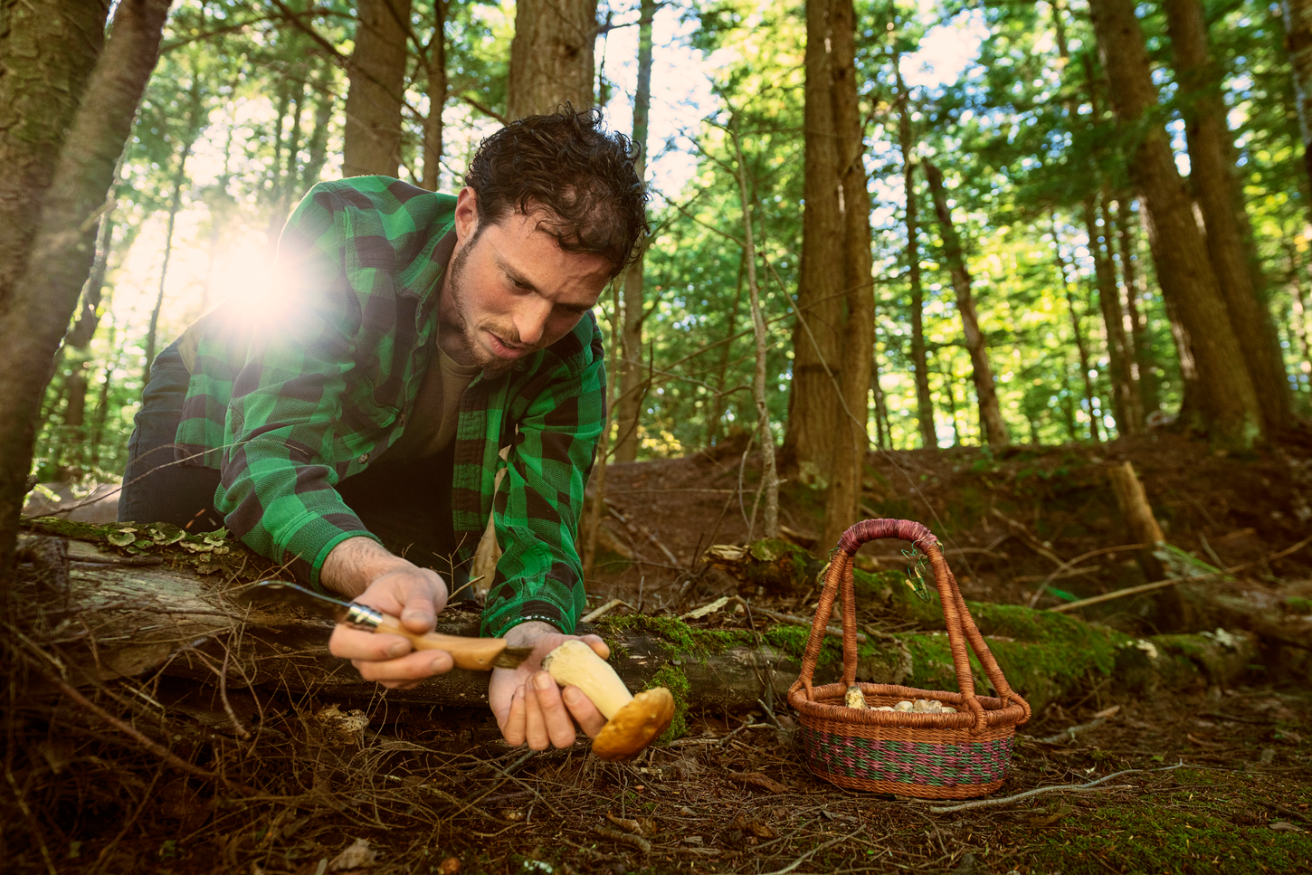 Ari Rockland-Miller, Mushroom Forager, Richmond VT
