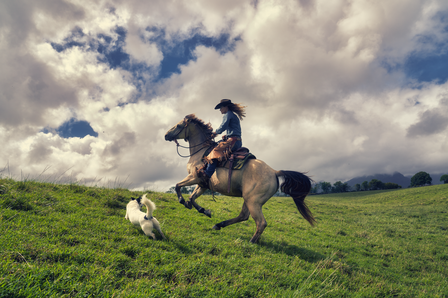 Karin Carswell Guest, Paniolo, Princeville Ranch, Kaua'I, HI