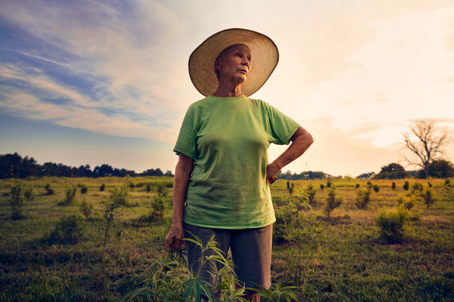 Jane Harrod, Hemp Farmer, Fayette, KY