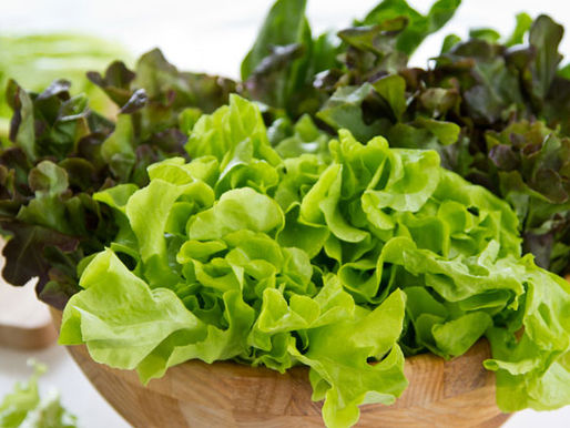 Plant Stanols and Sterols for Cholesterol Reduction