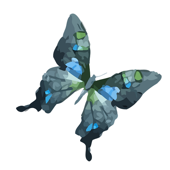Acuarela de la mariposa 11