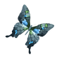 Butterfly on Button click to see tribute