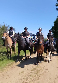 Randonnée à cheval en forêt landaise - Le Domaine de la Gahe