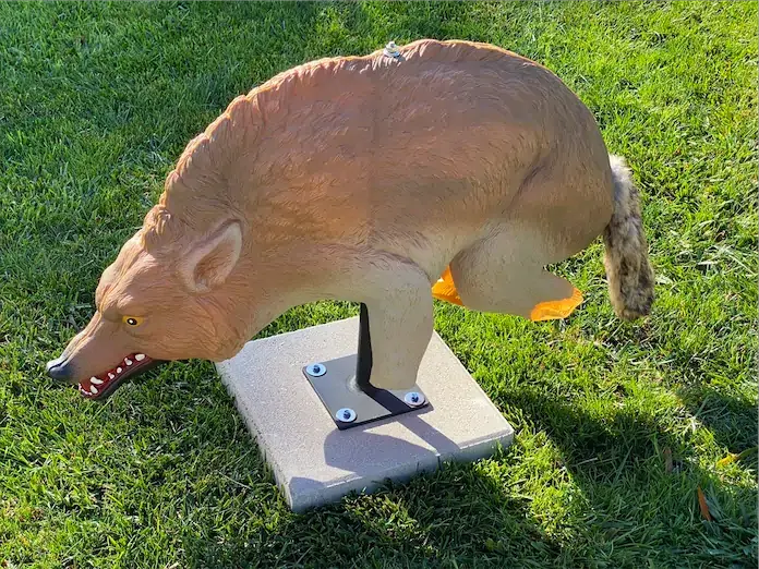 3D Coyote