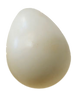 Woodpecker egg