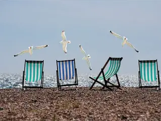 Prepare for the Beach: Tips to Keep Pest Gulls Away