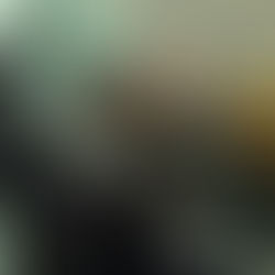 🔥 Stay Cool, Stay Protected: The Benefits of Professional Window Tint