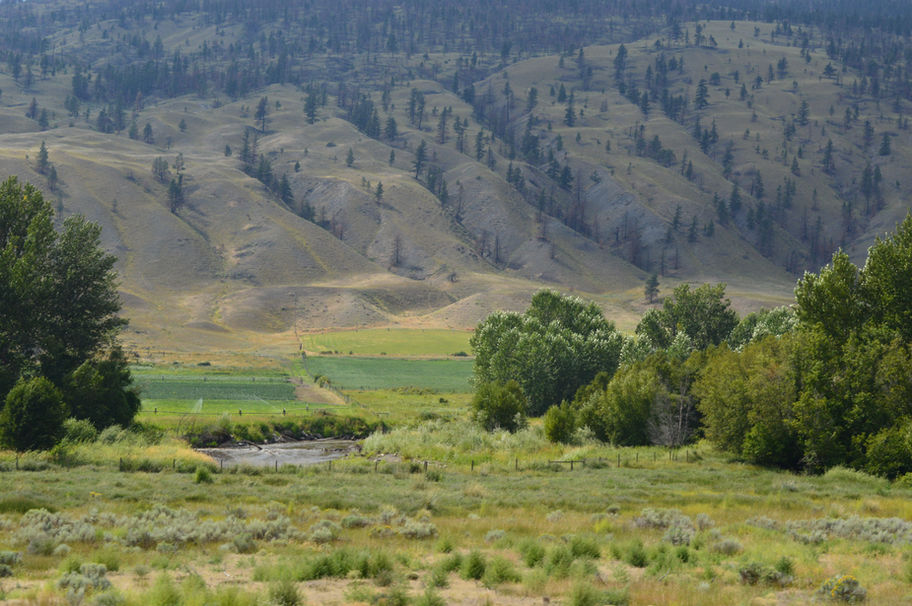A Pond In The Lush Green Valley