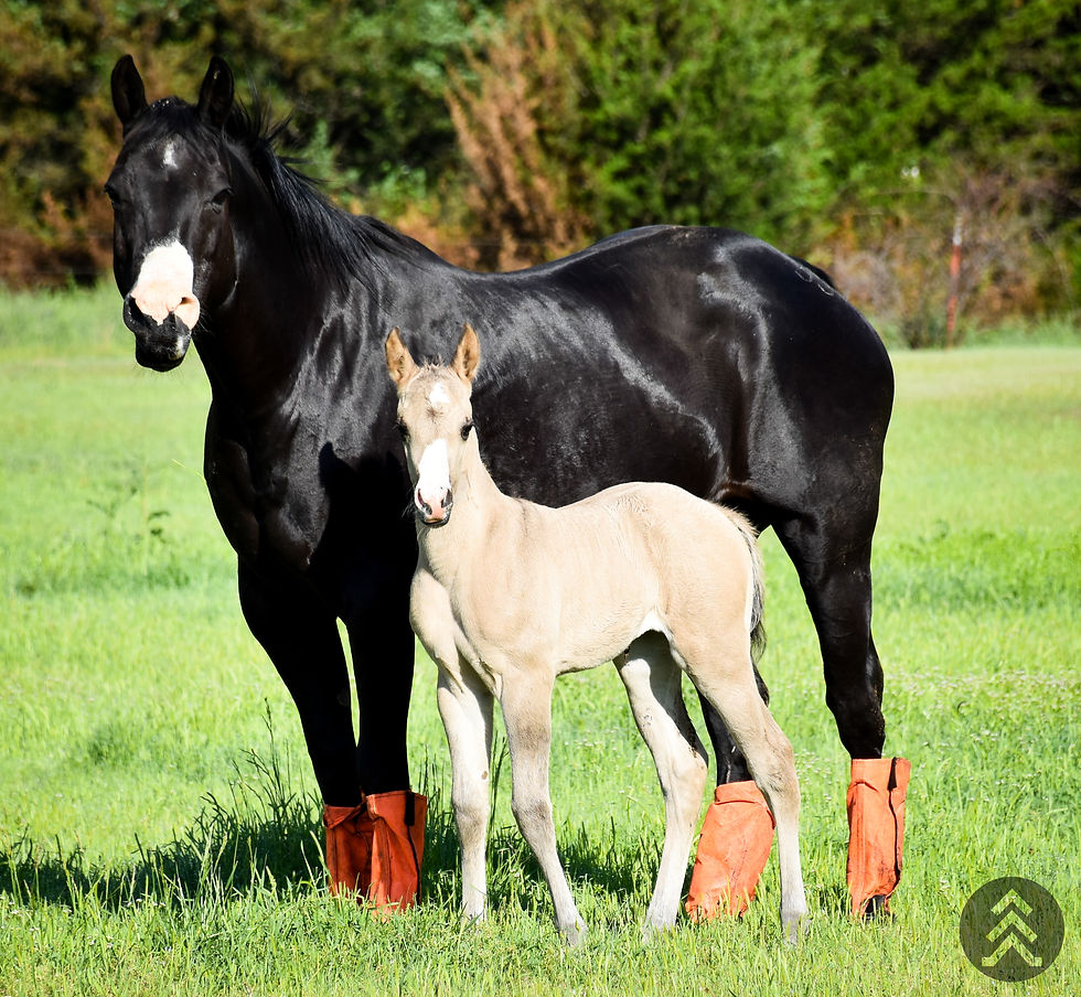 Mo and her 2025 Filly