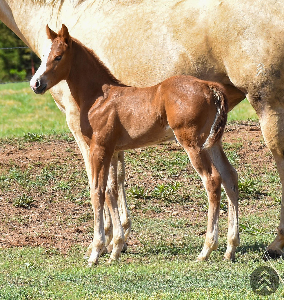 Pretty Little Poison