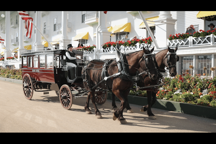 Cinematic Horse Drawn Carriage Wedding Couple GIF