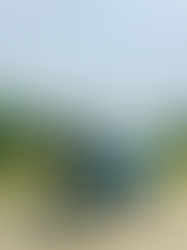 Grace & Tom - Furtho Manor Farm