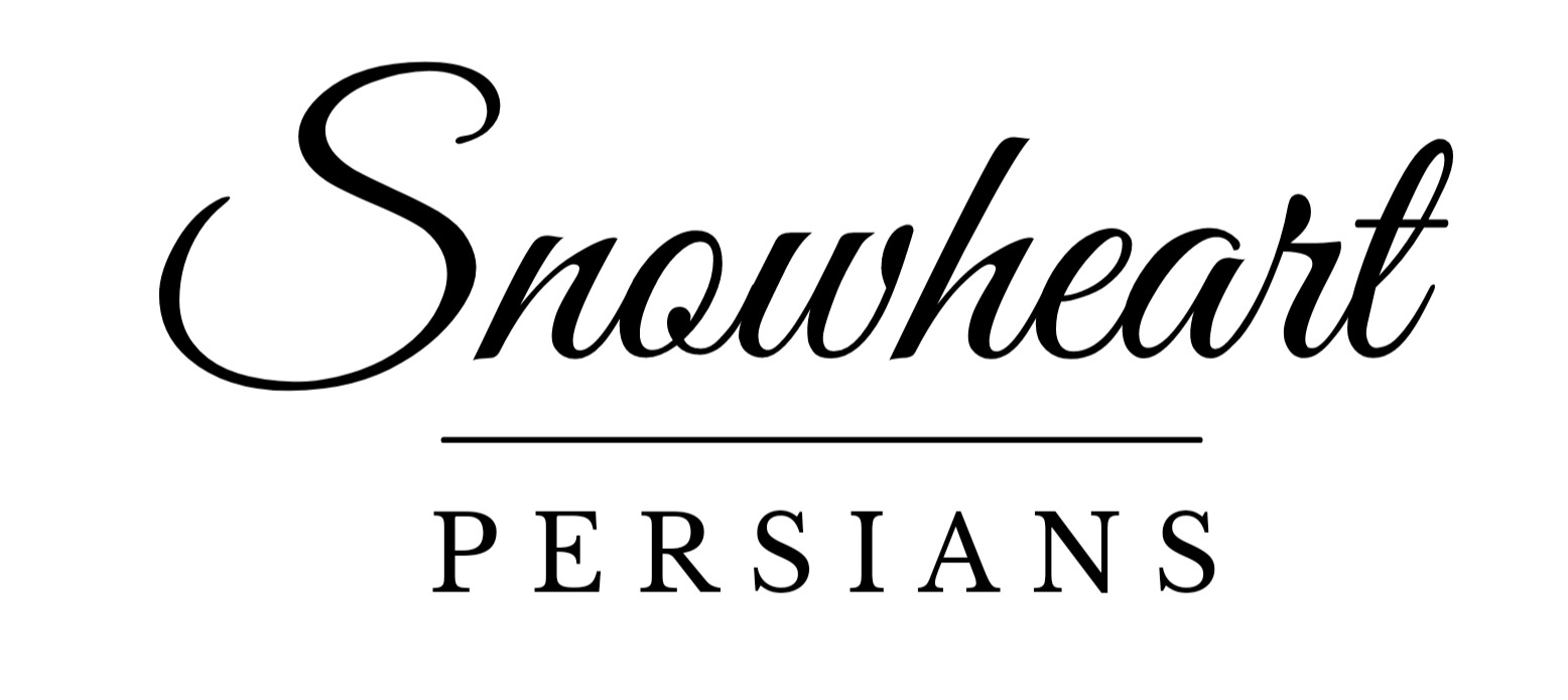 Snowheart Persians logo