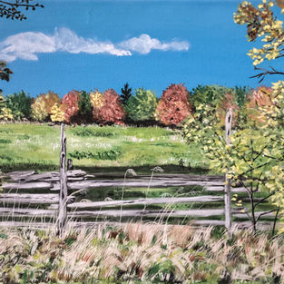 Snow on the Trees 9x12 framed acrylic $200
