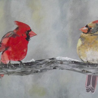 Male and female cardinals on a branch