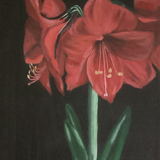 Red Amaryllis 8x10 acrylic 100