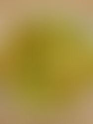 Slow Cooker Curry Chicken With Vegetables