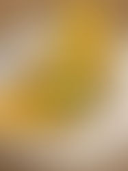 Omelet with Goat Cheese, Bacon, and Avocado