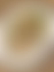 Hamberger Steaks in a Sour Cream Sauce