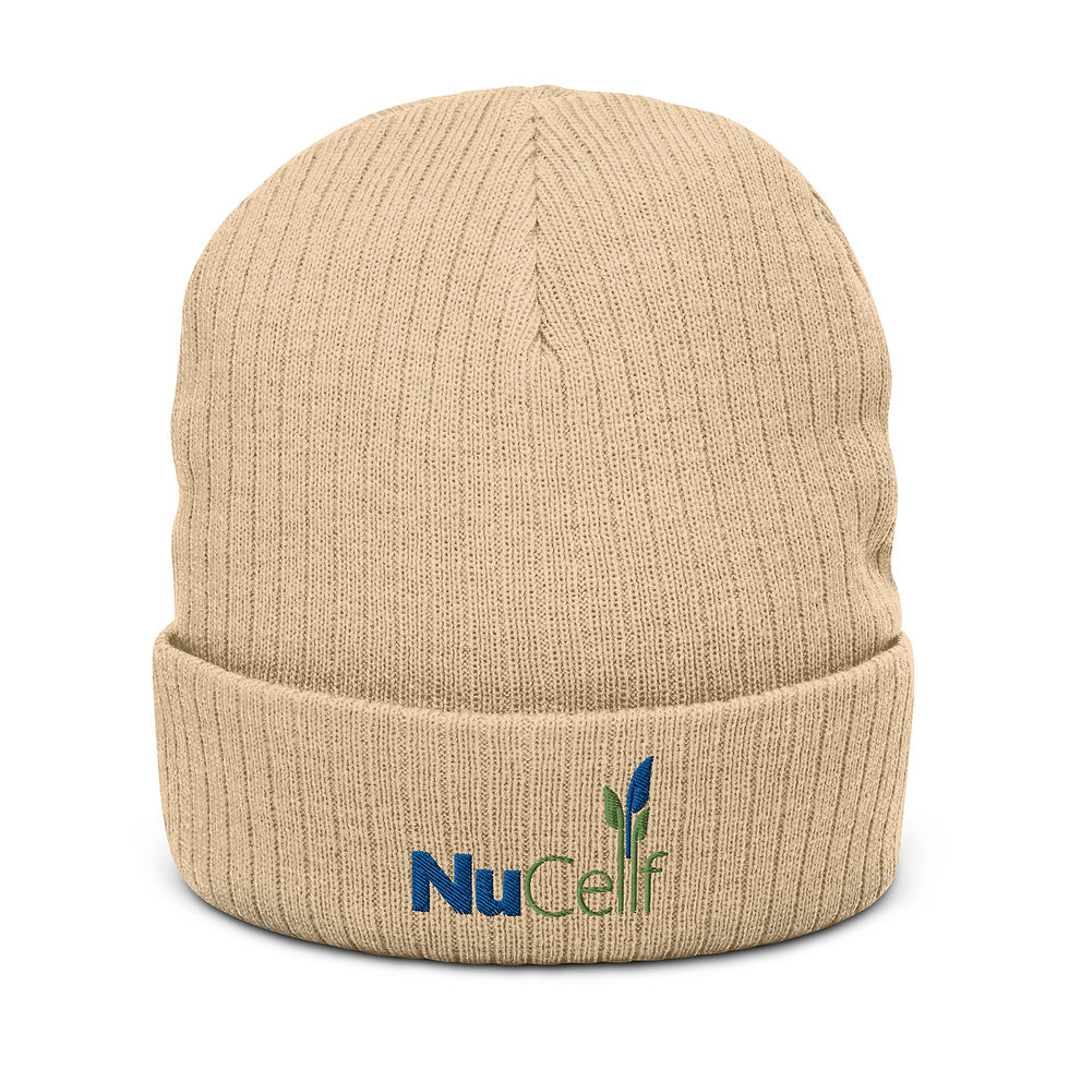 Thumbnail: Embroidered Ribbed Knit Beanie - NuCellf