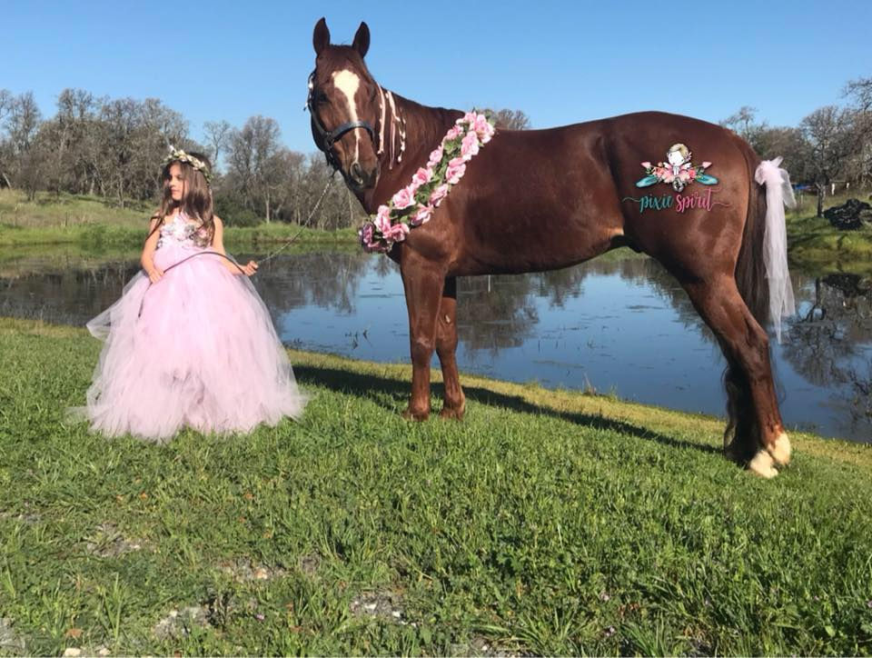 Thumbnail: The Unicorn without a Horn