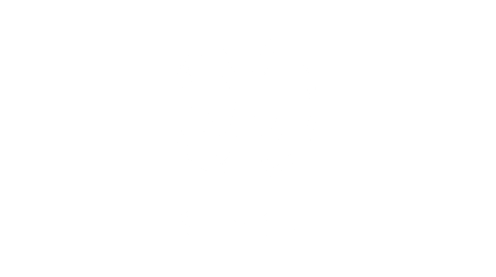 VW Service.png