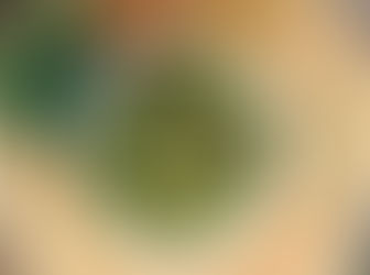 PAPPU MUNAGA AAKU | DRUMSTICK LEAF IN DAL