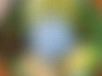 NASI KERABU | MALAYSIAN BLUE RICE