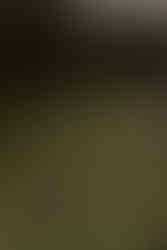 Lago di Braies, Prager Wildsee