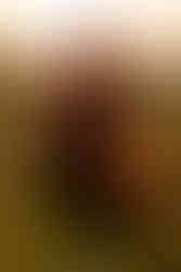 Selbstliebe-Shooting mit Model Vicky im Pluktuin in Zaamslag, Zeeland