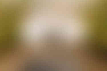 Selbstliebe-Shooting mit Model Vicky im Pluktuin in Zaamslag, Zeeland