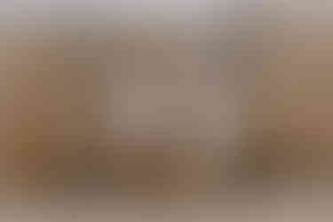 Gezin voor strandhuisje in Vlissingen