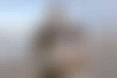 Stel met baby en hond