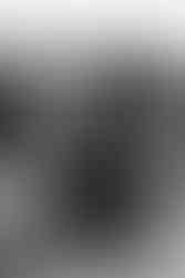 Duits stel op het strand in de duinen van Breskens