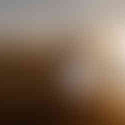 Deutsches Paar heiratet am Strand in Zeeland