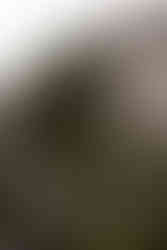 Lago di Braies, Prager Wildsee