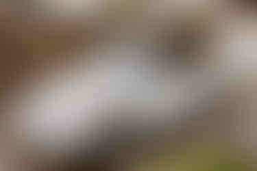 Bruidegom in trouwauto