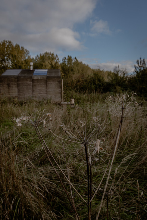 cabiner in Horsterwold