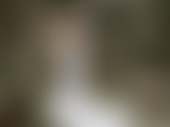 Bruiloft in de Zeeuwse Oase