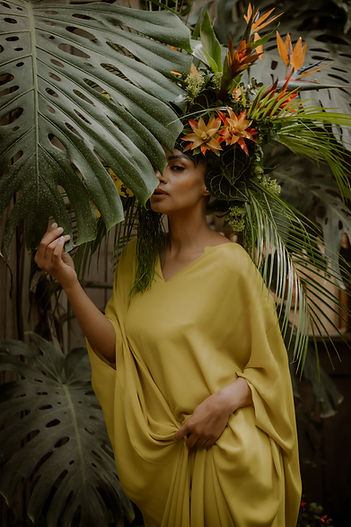 Wings of Wonders-8.jpg