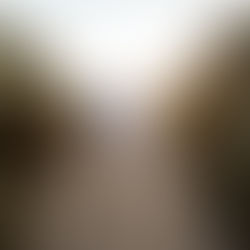 Zwangere vrouw tussen de duinen bij Cadzand