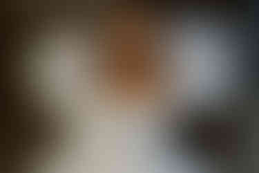 Bridal Shoot met Dianne van den Eng en styling van weddingsbruidsmode