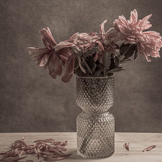 Fine art bloemenfotografie als wanddecoratie