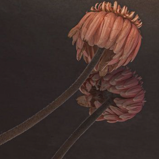 Fine art bloemenprint met zachte, romantische uitstraling