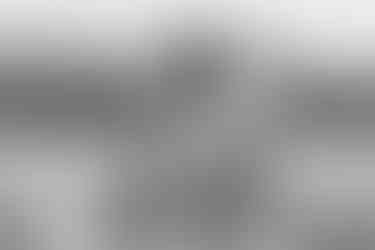 Selbstliebe-Shooting mit Model Vicky im Pluktuin in Zaamslag, Zeeland